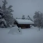 キャンプ場 Woodmood *