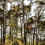 キャンプ場 Woodmood Leuk