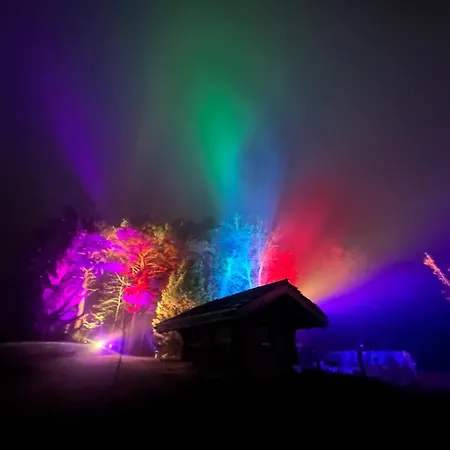Campsite Woodmood