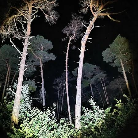 Campsite Woodmood Leuk