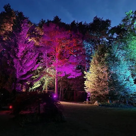 Woodmood Leuk