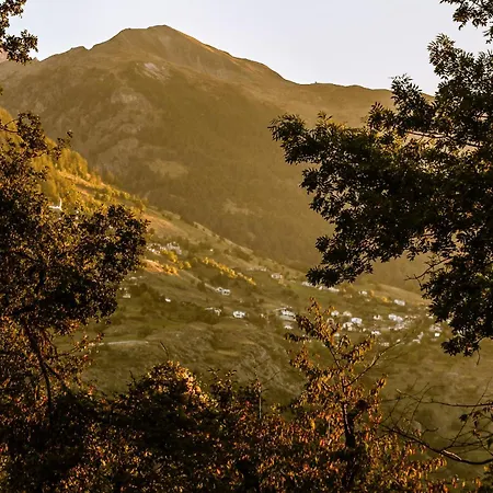 Woodmood אתר קמפינג