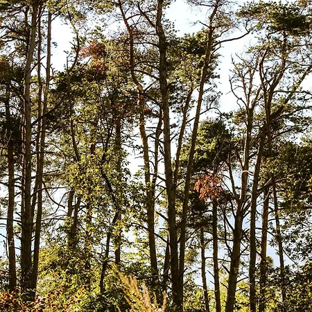 Kemping Woodmood Leuk