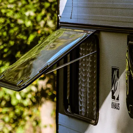 Кемпинг Woodmood