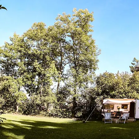 Woodmood אתר קמפינג *