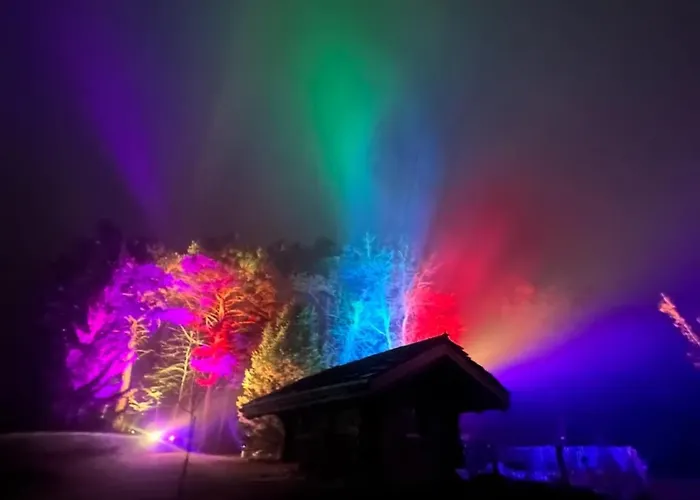 Kamp alanı Woodmood