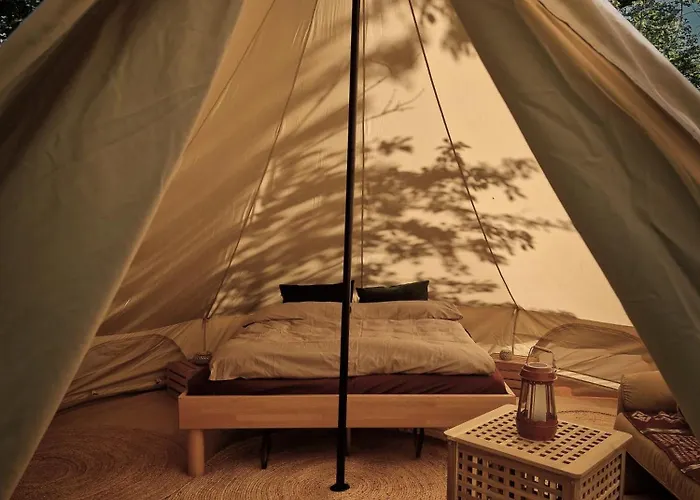 Woodmood Kamp alanı Leuk