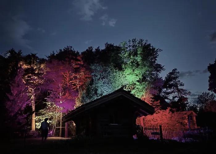 Woodmood Kamp alanı