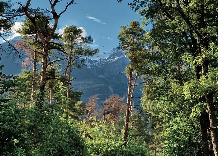Woodmood Kamp alanı Leuk