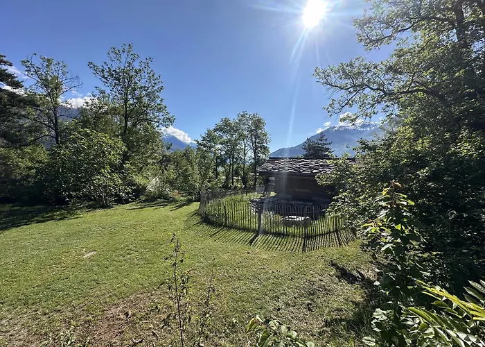 Woodmood Kamp alanı