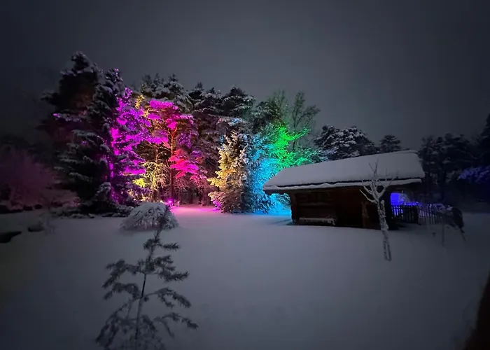 Kamp alanı Woodmood Leuk