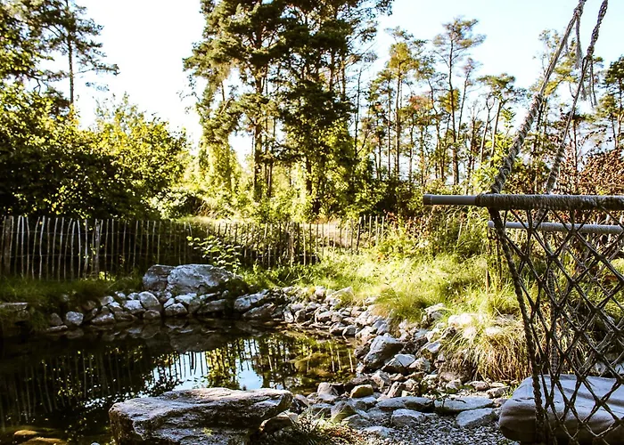 Woodmood Kamp alanı Leuk