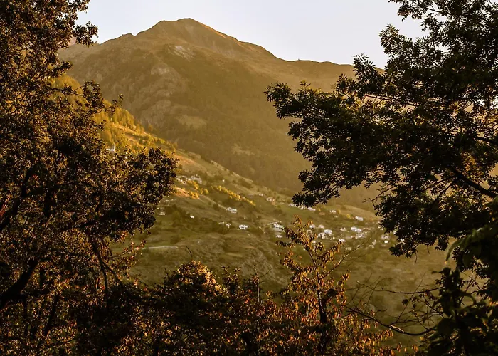 Woodmood Kamp alanı