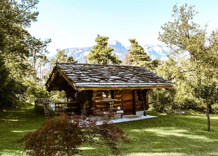Kamp alanı Woodmood