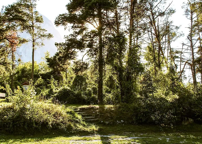 Woodmood Kamp alanı *