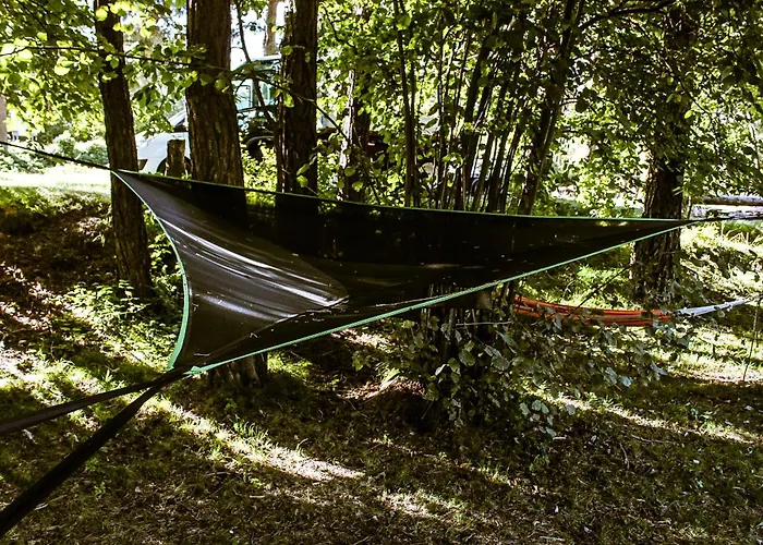 Woodmood Kamp alanı