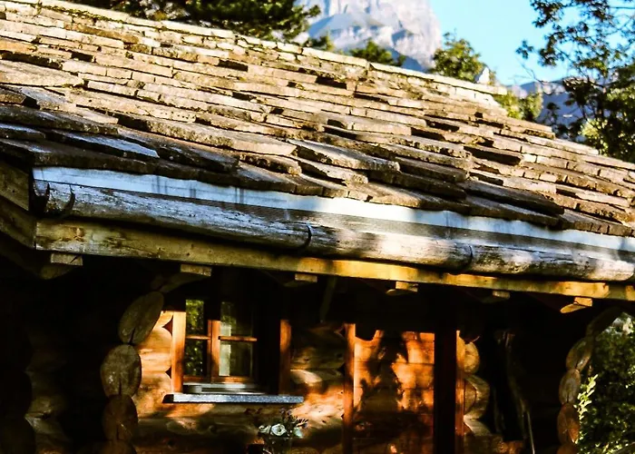 Woodmood Kamp alanı *