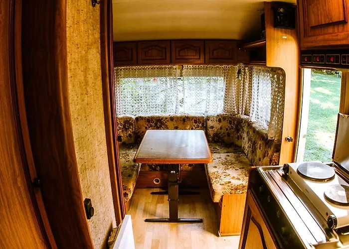 Woodmood Kamp alanı
