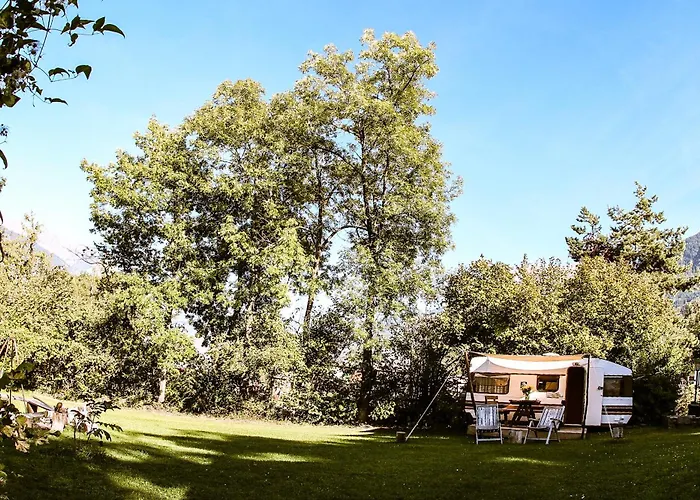 Woodmood Kamp alanı *