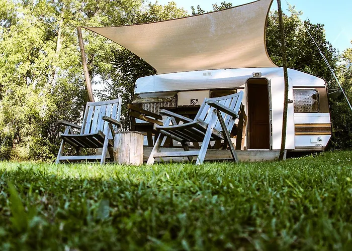 Woodmood Kamp alanı