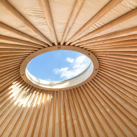Woodmood